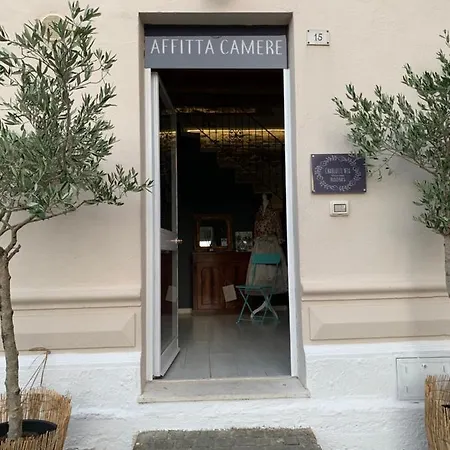 Charlotte Wix Konukevi